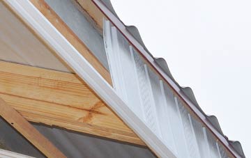 why Barony fascia repairs are essential