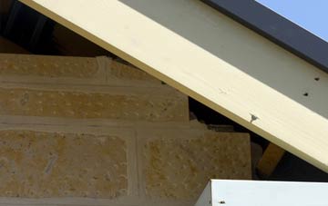 soffit repair Barony