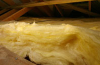 Barony pitch roof insulation